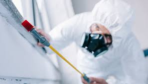 Emergency Pest Control Services in Lexington, MO